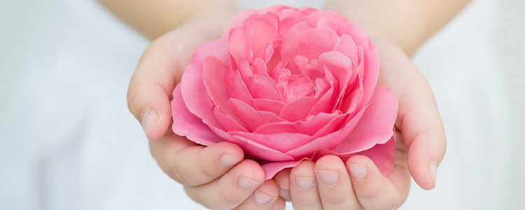 Healing Wellness Health Clinic