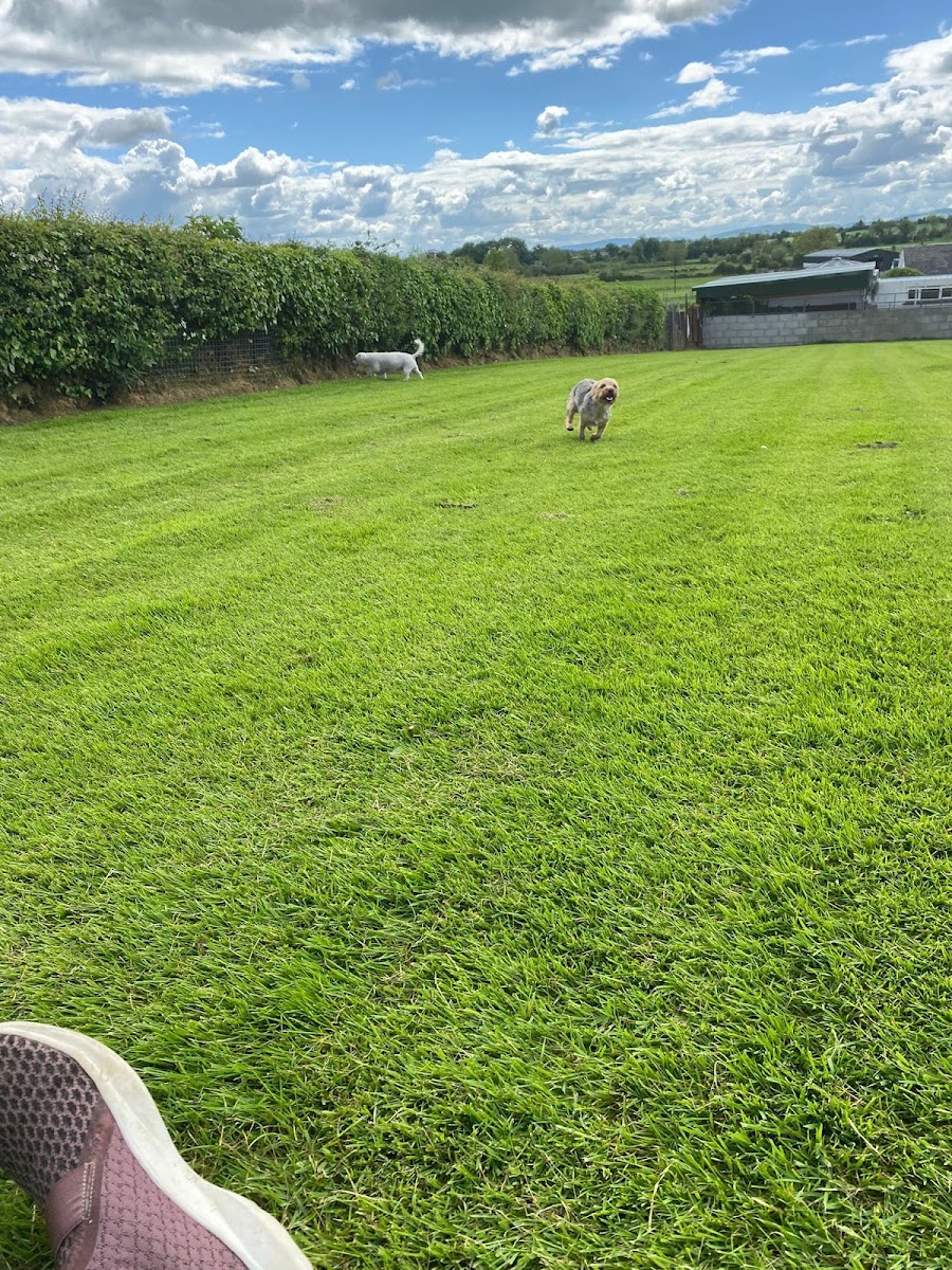 Home Away Boarding Kennels