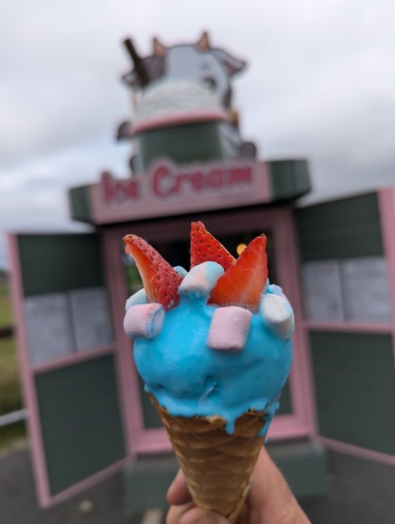 Ice Cream @Elmgrove