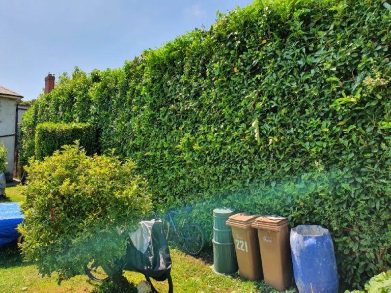 Leinster Landscaping And Groundworks