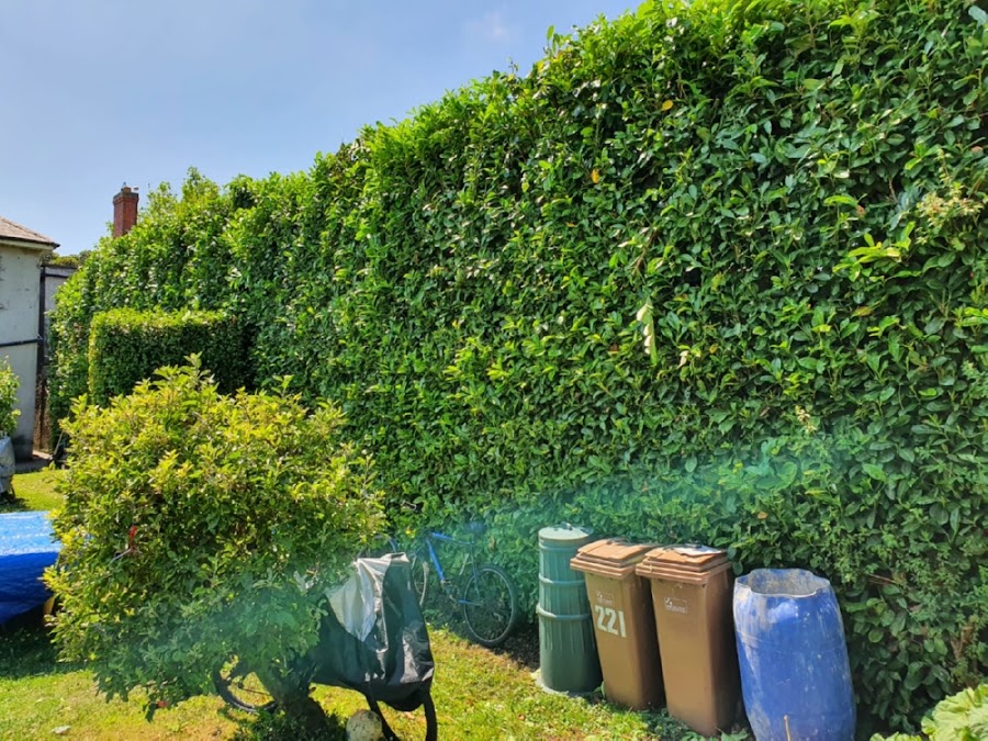 Leinster Landscaping And Groundworks