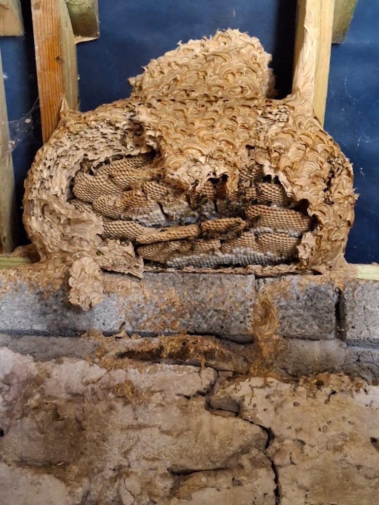 Matrix Pest Solutions