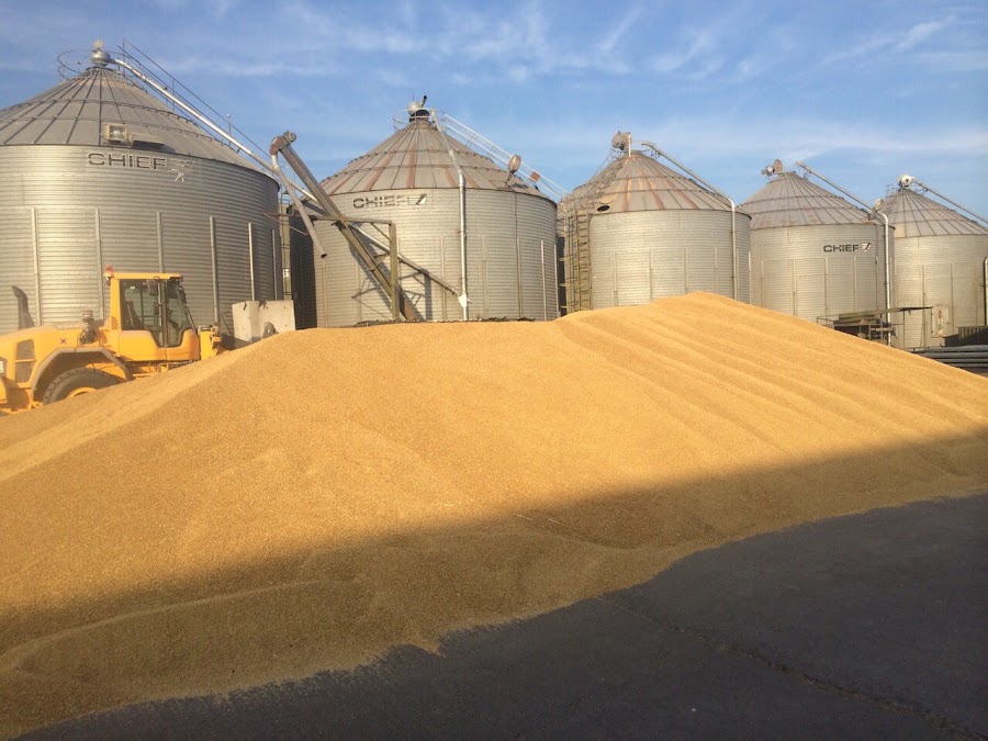 McAuley Feeds