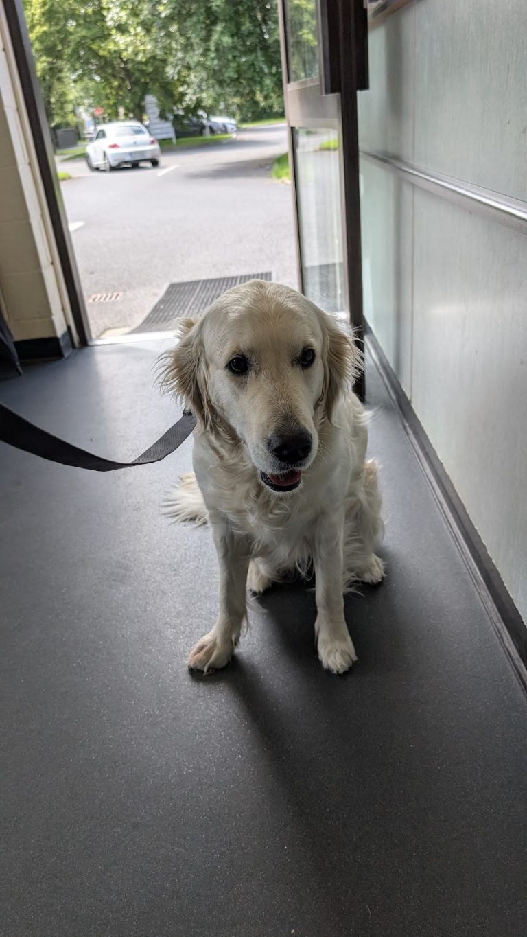 Moss Veterinary Hospital