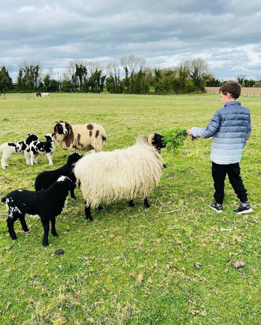 Muchwood Farm
