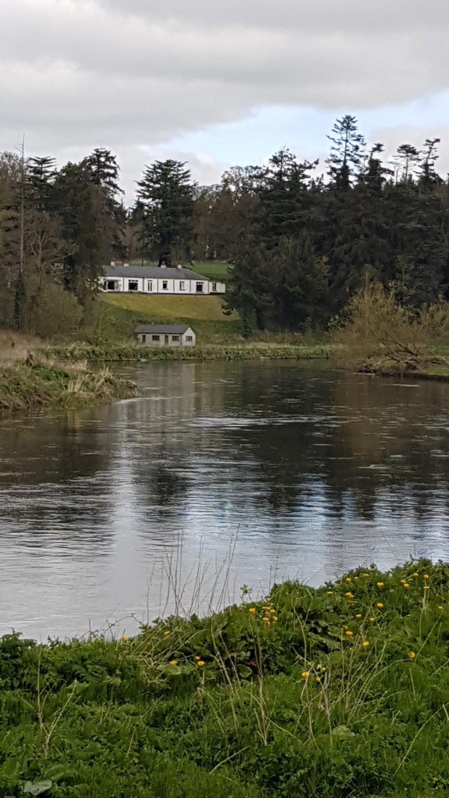 Navan & Trim Chiropractic Centres