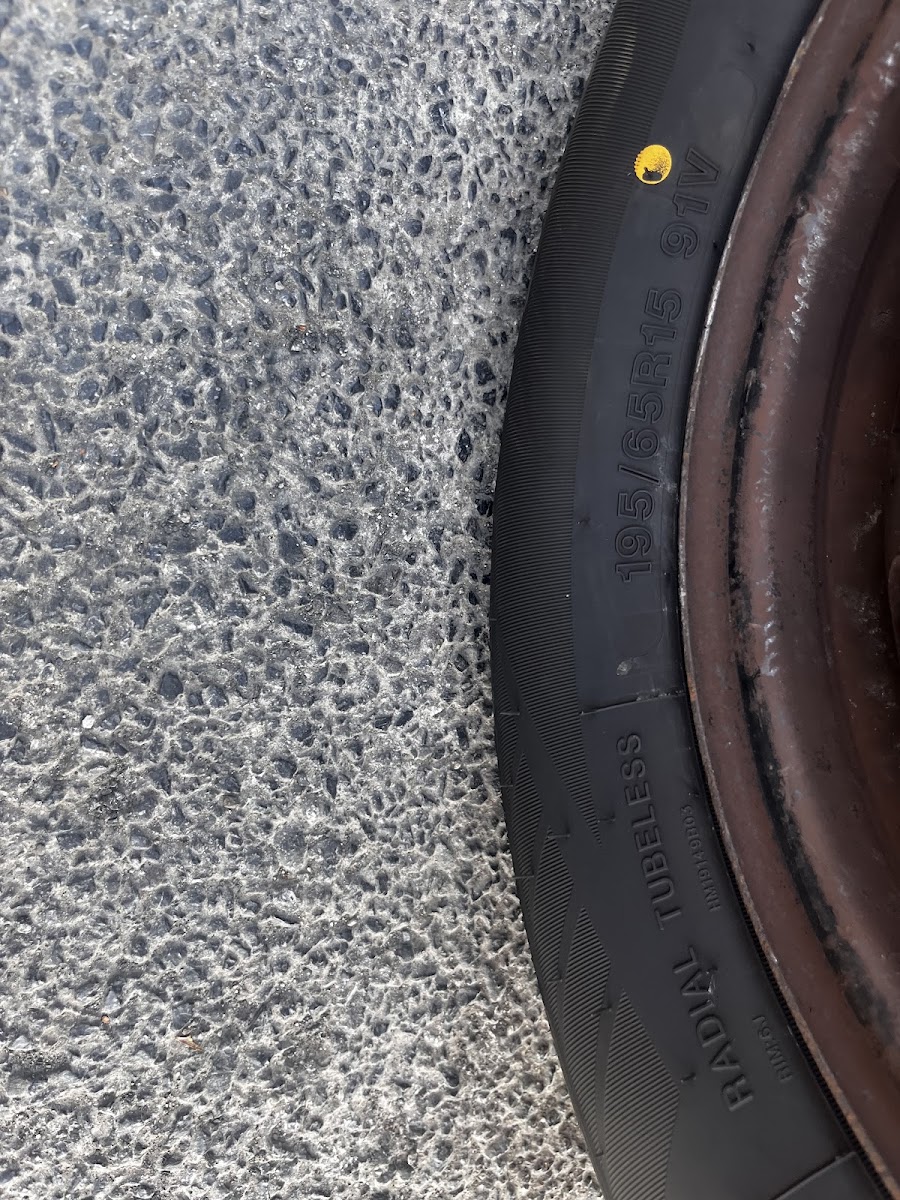 Newbridge Car Repairs
