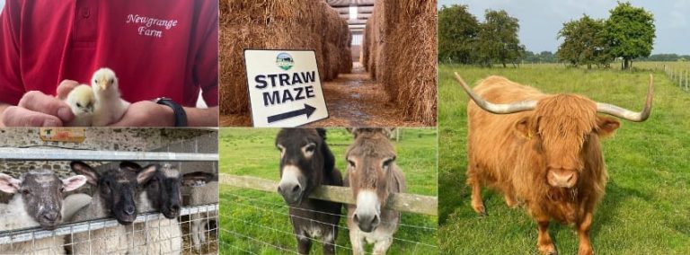 Newgrange Farm and Coffee Shop