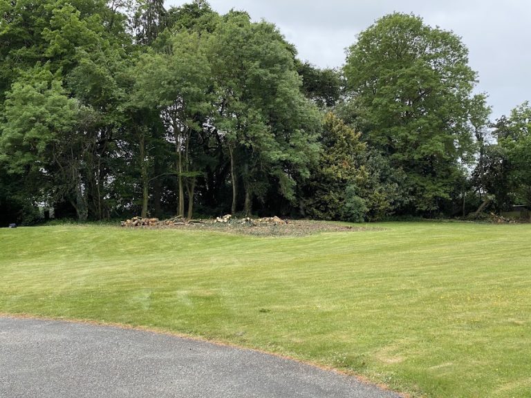 O’Neill Tree Services