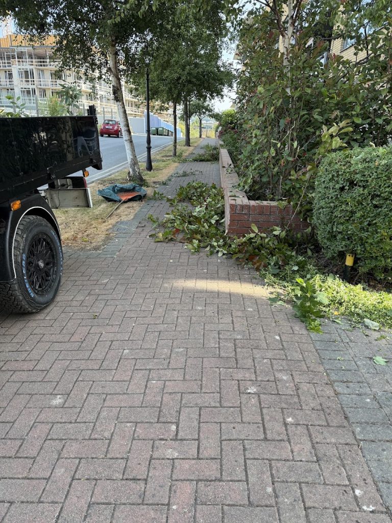 Oakleaf Landscaping
