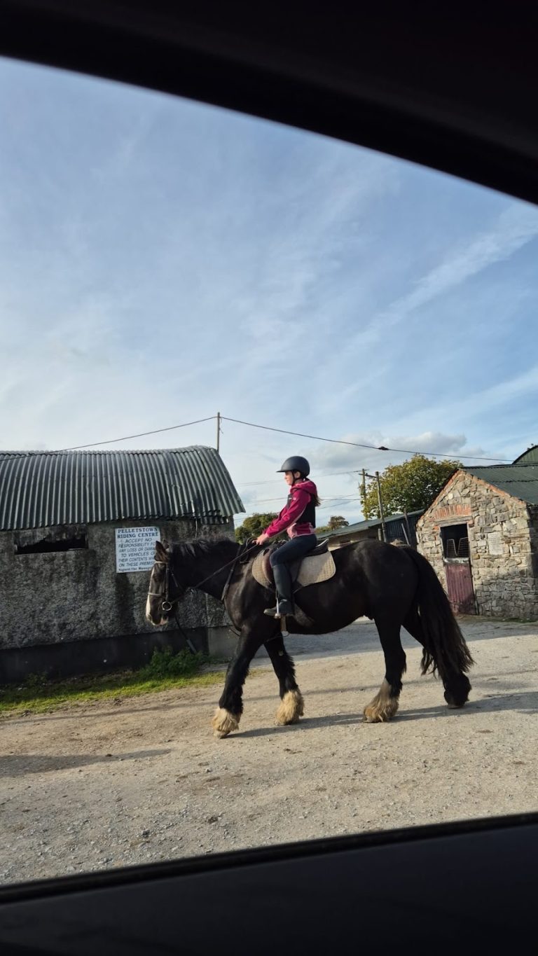 Pelletstown Riding Centre