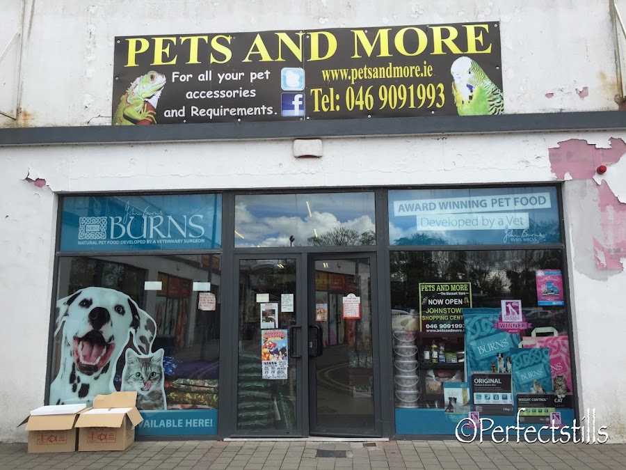 Pets and More