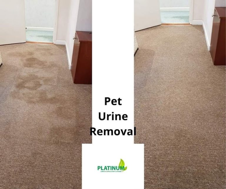 Platinum Carpet & Upholstery Cleaning