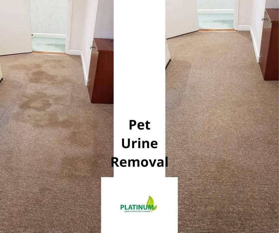 Platinum Carpet & Upholstery Cleaning