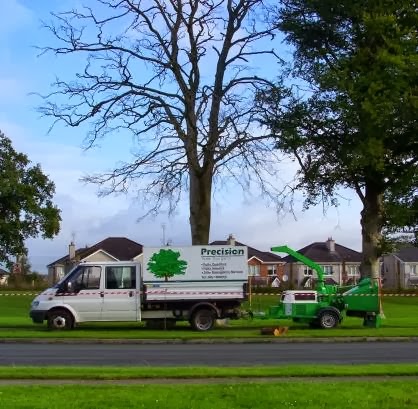 Precision Tree Surgery