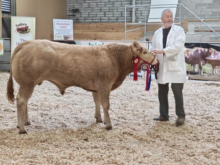 Roscrea Mart