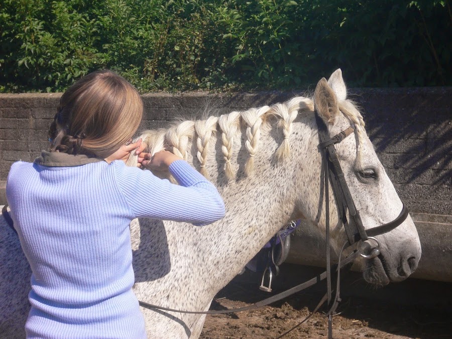 Royal Meath Equestrian Centre Ltd