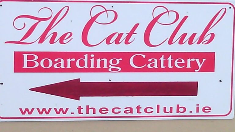 The Cat Club Boarding Cattery