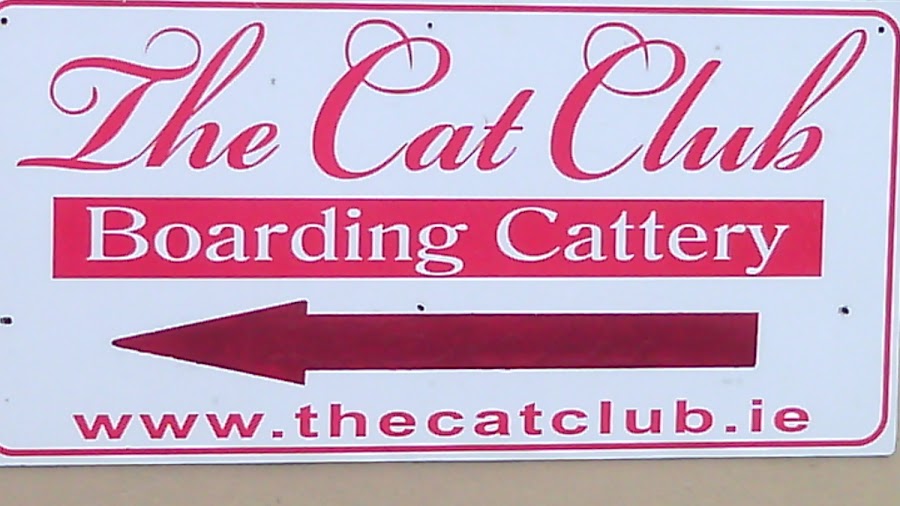 The Cat Club Boarding Cattery