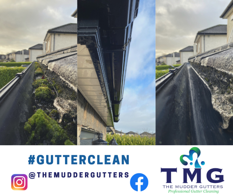 The Mudder Gutters