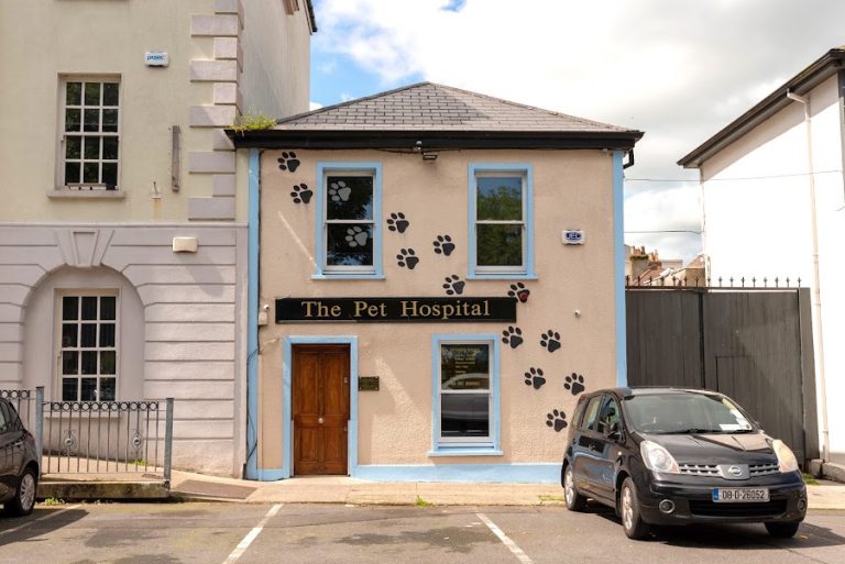 The Pet Hospital