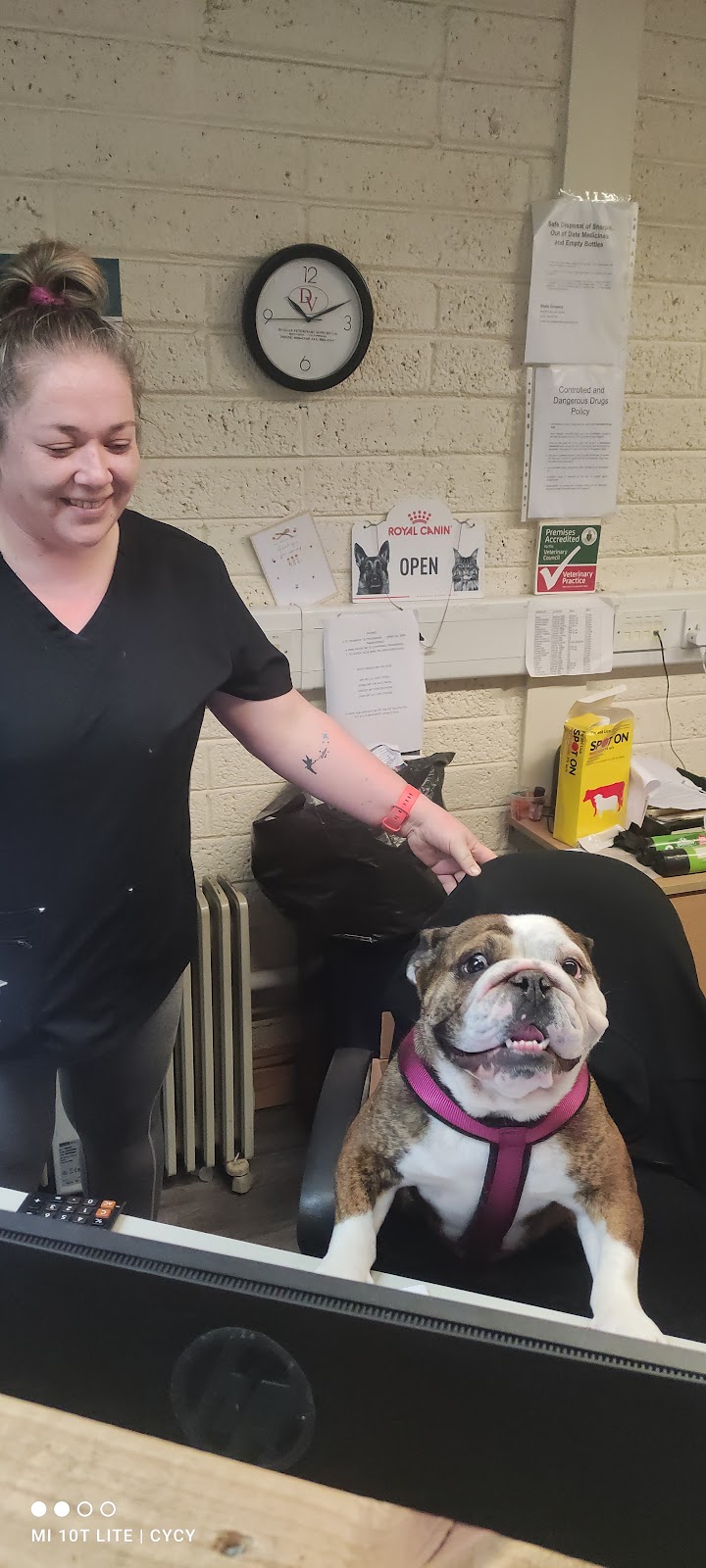 Tír Na Bhó Veterinary (Kiersey & Murphy)