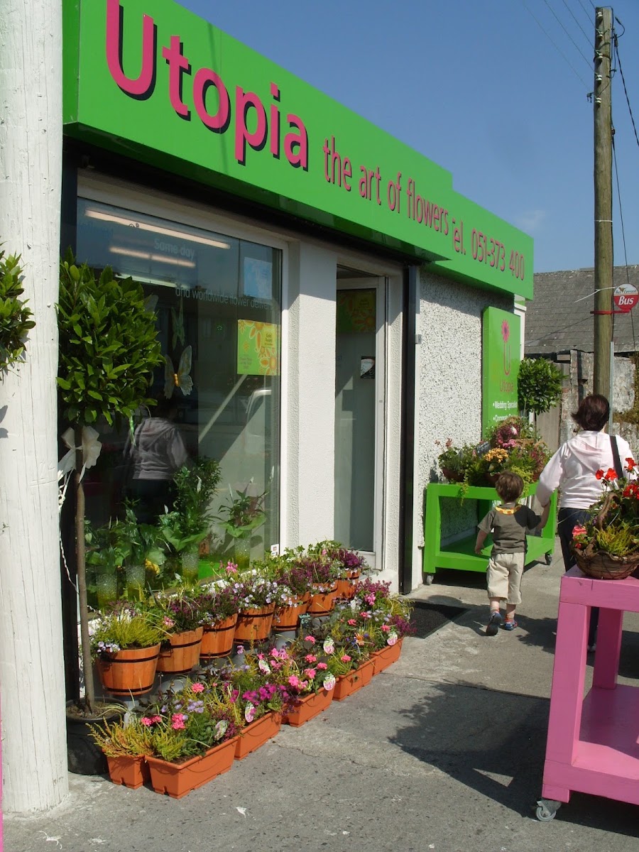 Utopia Flowers