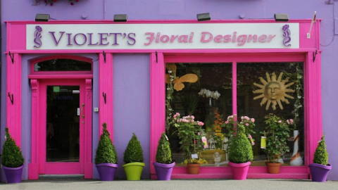 Violet’s Flowers