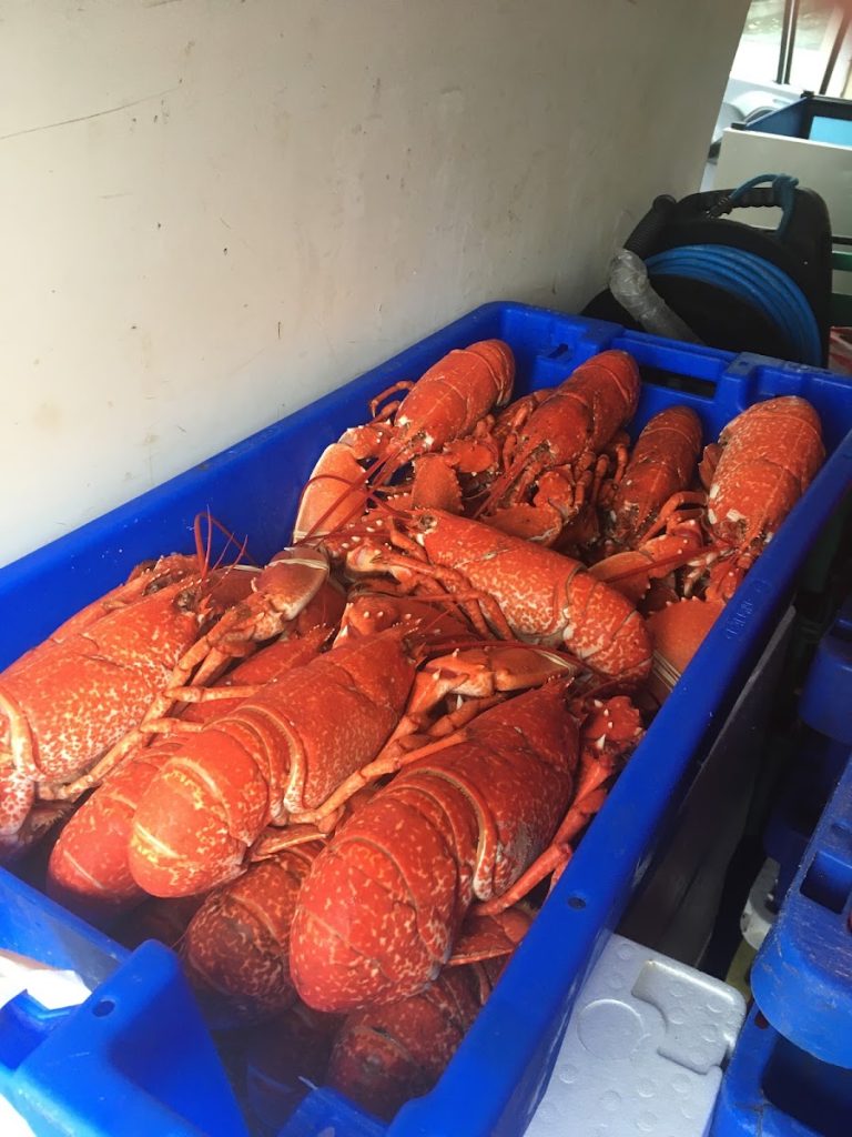 hartleyseafoods