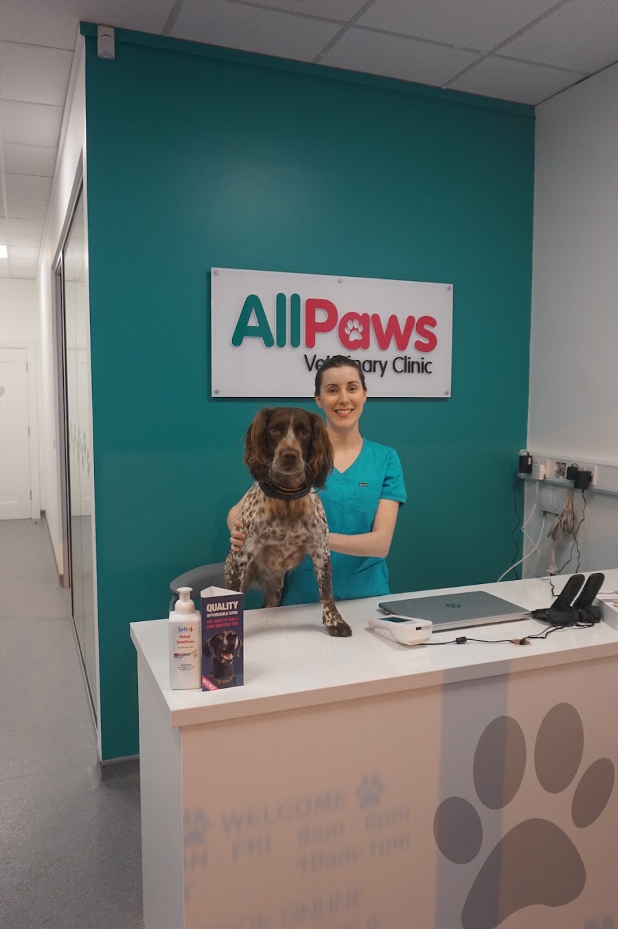 All Paws Vets