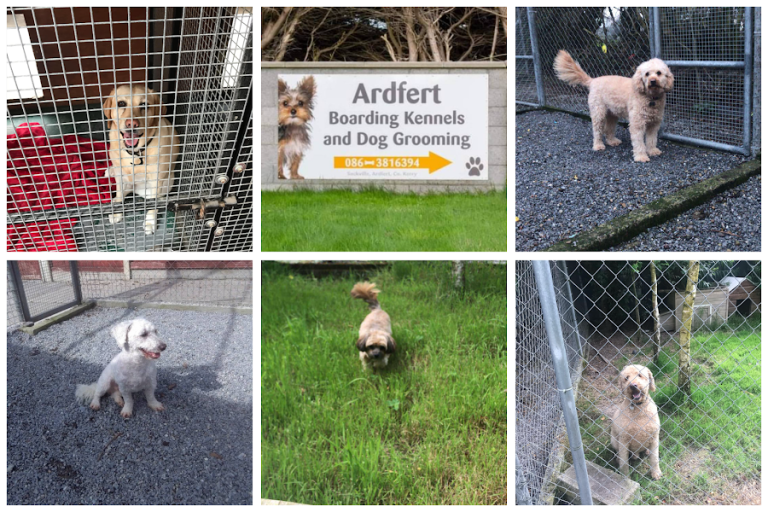 Ardfert Boarding Kennels and Cattery