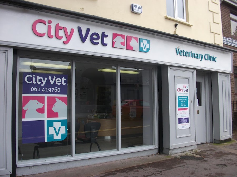 City Vet