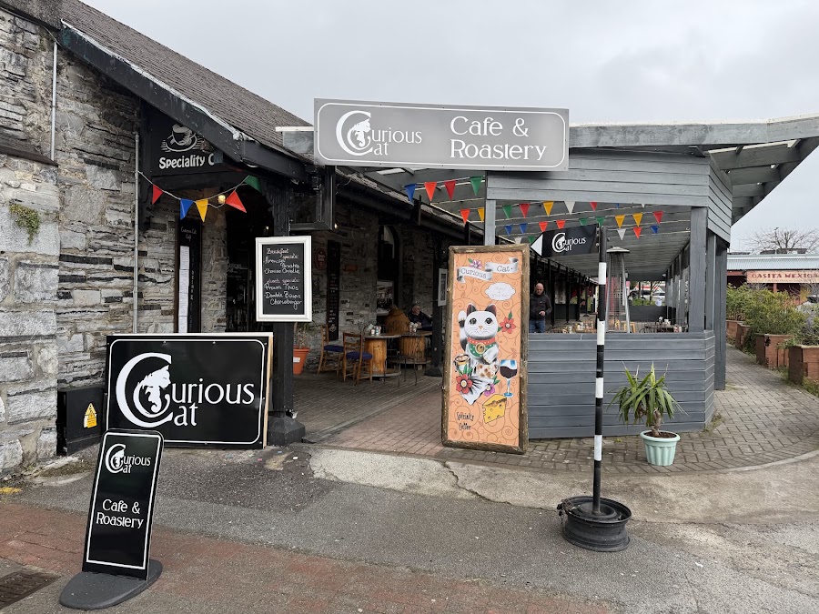 Curious Cat Café