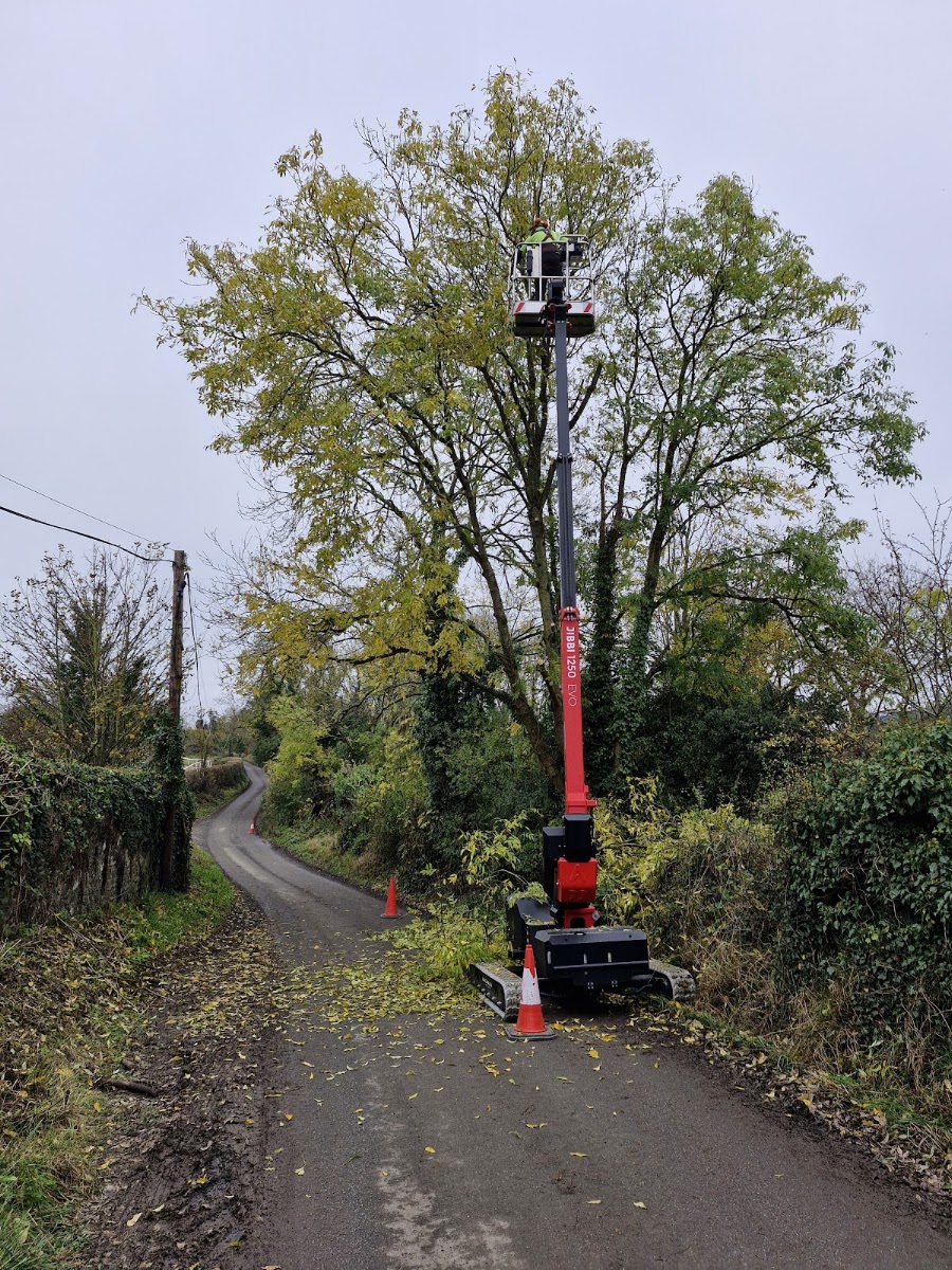 DCM Tree Services LTD