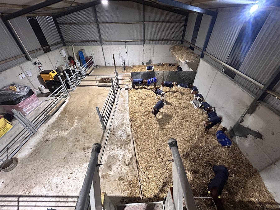 Dore Agri & Contract Rearing