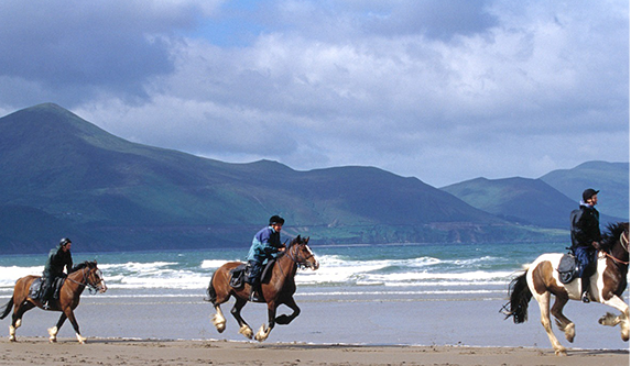 Killarney Riding Stables