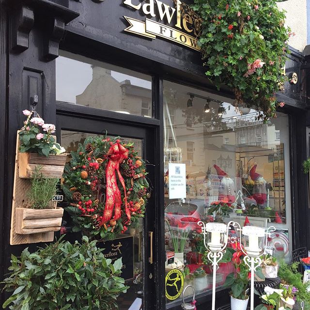 Lawless Flowers