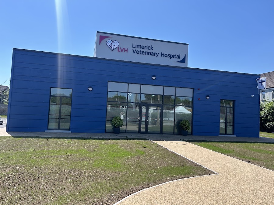 Limerick Veterinary Hospital