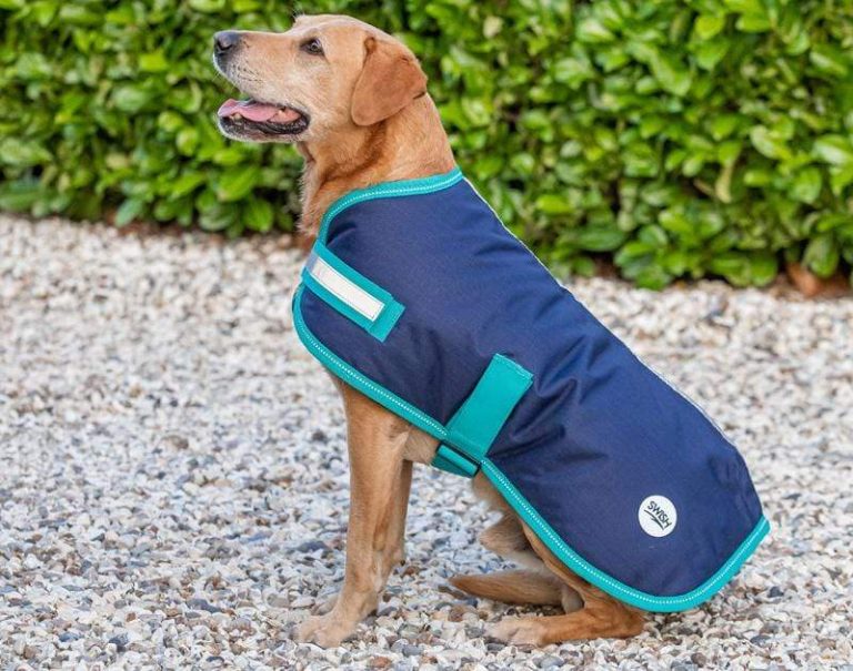 Swish Equestrian Ireland Limited