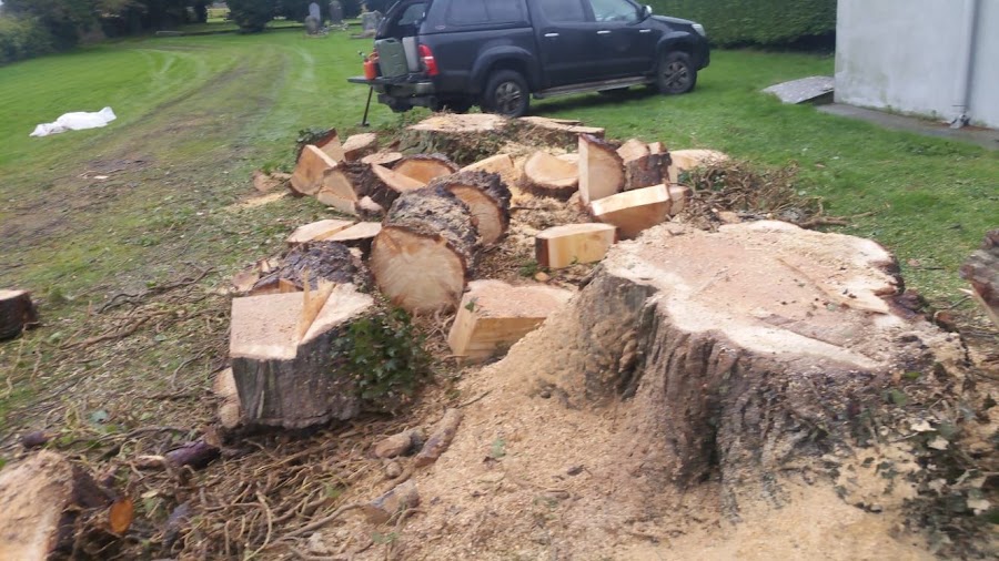 Acorn Tree Service