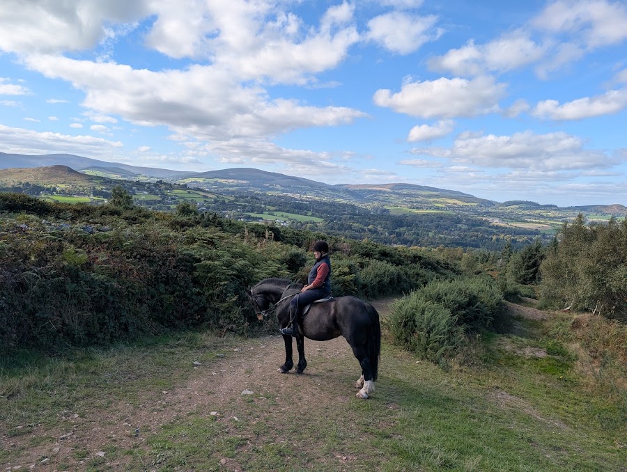 Brennanstown Riding School