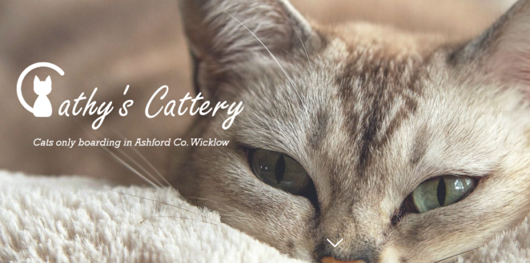 Cathy’s Cattery
