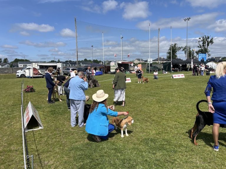 Clonguish GAA Club