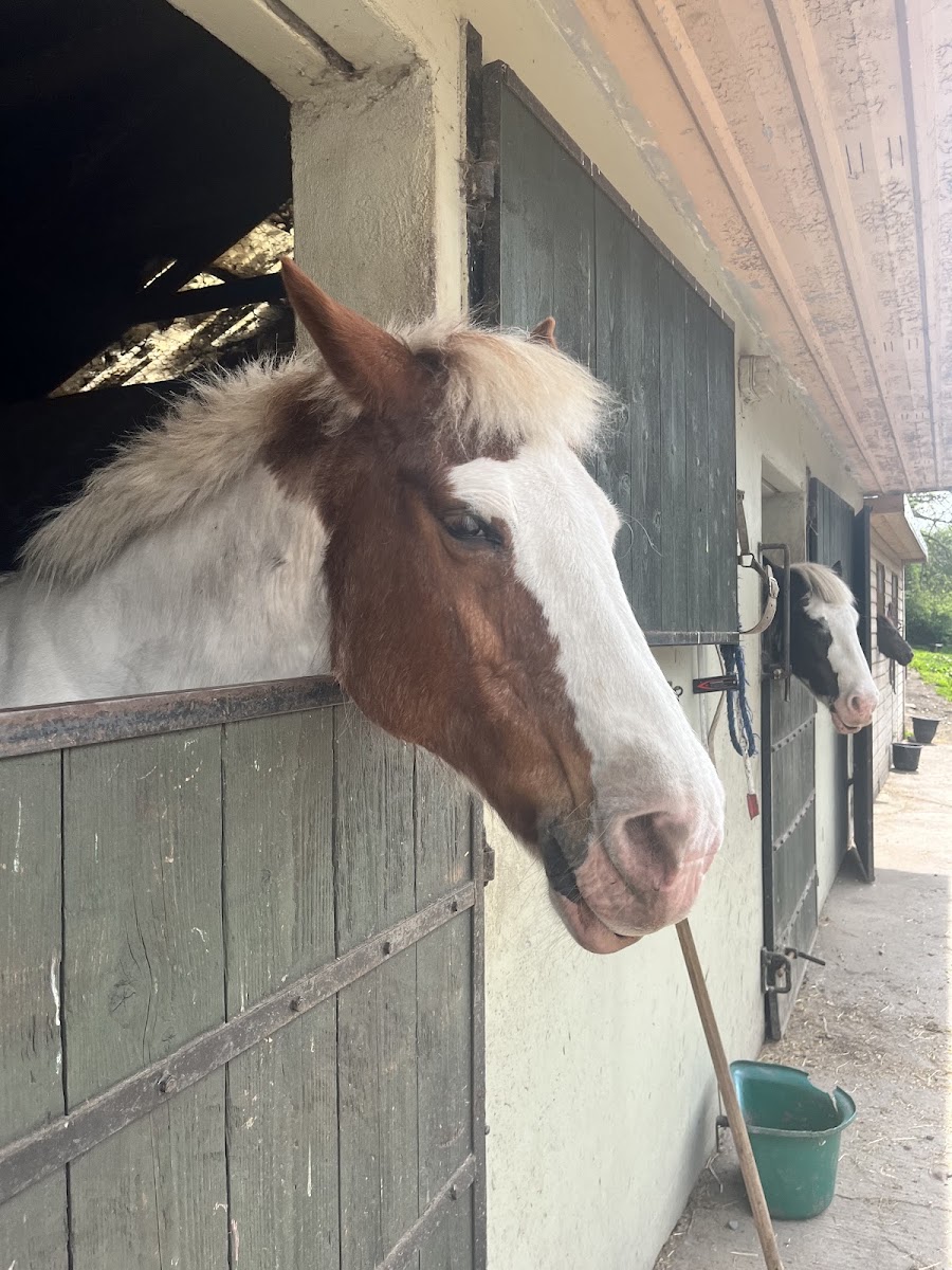 Clonmore Riding Centre