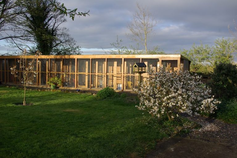 Cuibhreann Cattery