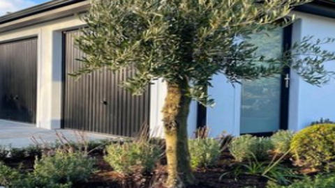 Eden landscaping