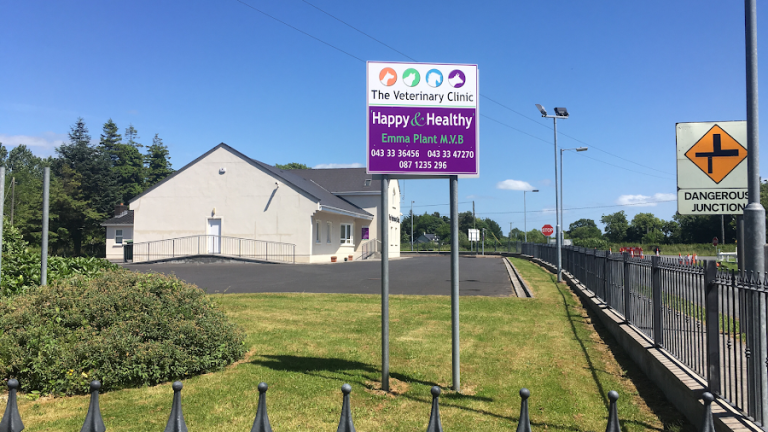 Emma Plant Veterinary Clinic (Happy And Healthy – Longford Vets)