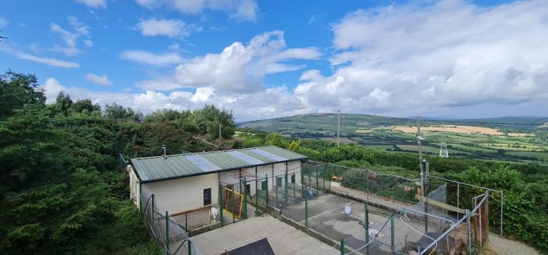 Kings Kennels