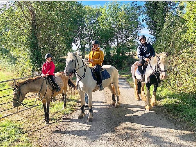 Meadow Lane Riding School