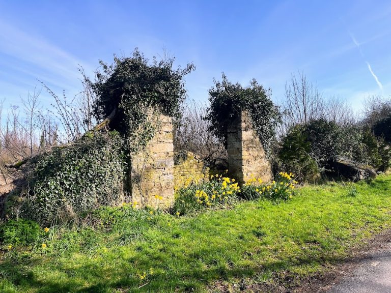 Mosstown Stables